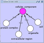 ontology_cctop.png